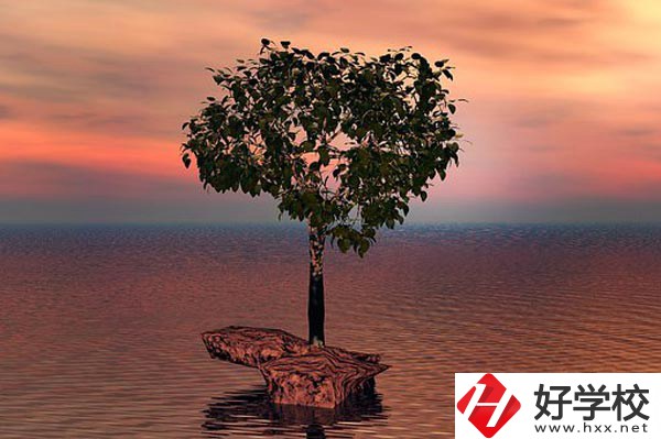 湖南省中南藝術(shù)學校收費標準怎么樣？