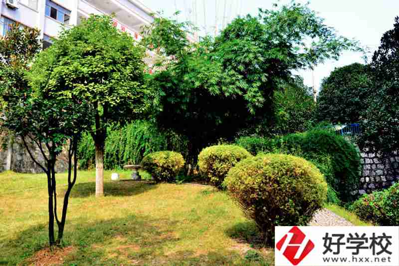 湖南省冷水江市技工學(xué)校風景