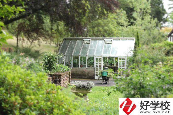 湖南省商業(yè)技師學(xué)院開設(shè)哪些專業(yè)？就業(yè)情況如何？