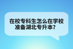 在校?？粕趺丛趯W校準備湖北專升本？