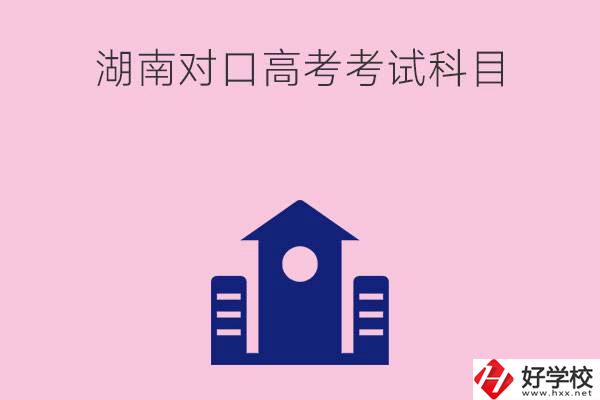湖南中職生對口高考考試科目都有哪些？考試難不難？