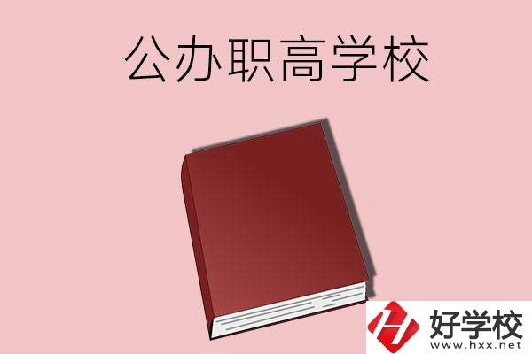 湖南有哪些公辦的職高學(xué)校？