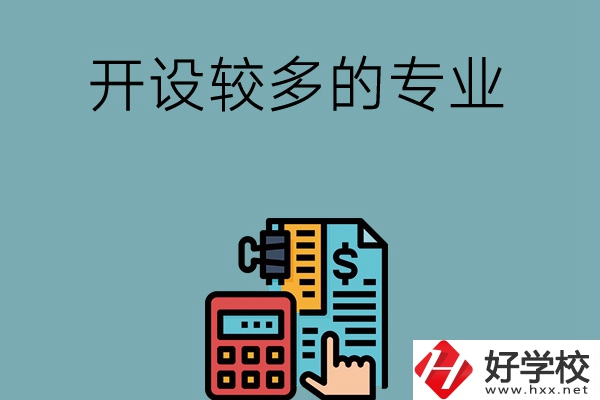 湖南的中職學(xué)校開(kāi)設(shè)較多的專業(yè)是哪些？