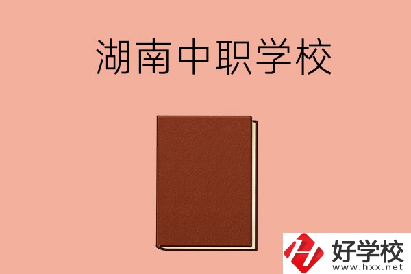 湖南有哪些就業(yè)率比較高的中職學(xué)校？