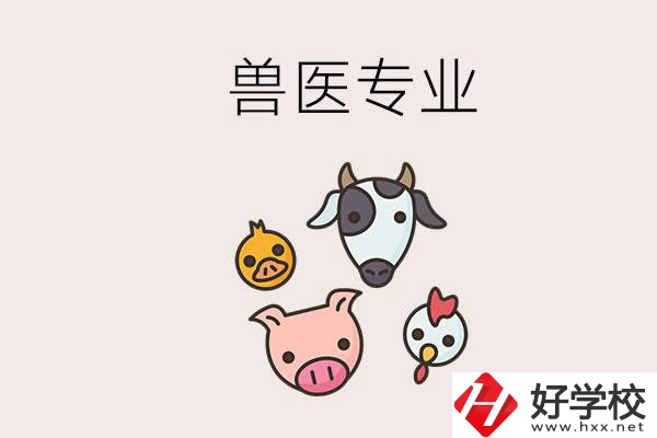 湖南哪些職校能學(xué)獸醫(yī)專業(yè)？學(xué)獸醫(yī)前景怎么樣？