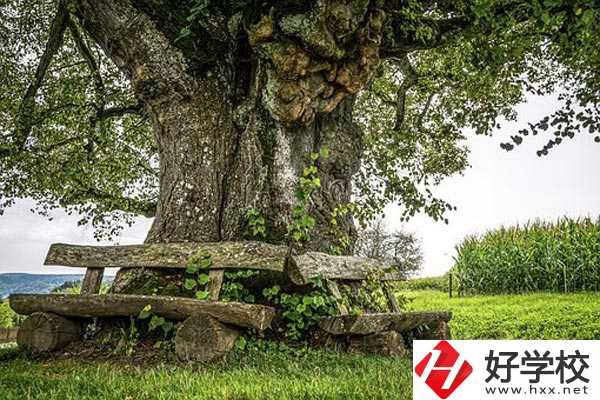 湖南特教中等專業(yè)學(xué)校有哪些特色專業(yè)？有資助政策嗎？