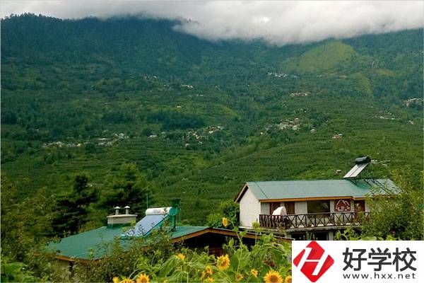 益陽大誠職業(yè)學(xué)校的專業(yè)怎么樣？就業(yè)方向如何？