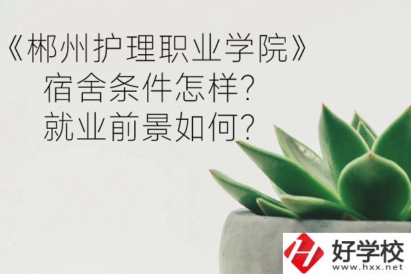 郴州護理職業(yè)學院宿舍條件怎樣？就業(yè)前景如何？