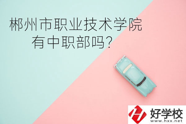 郴州市職業(yè)技術(shù)學院有中職部嗎？