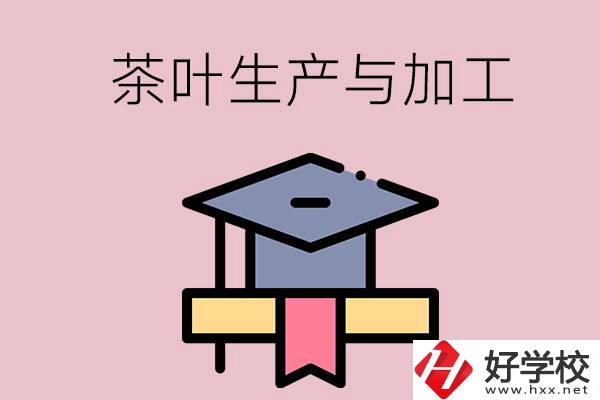 湖南哪些技校開設(shè)了茶葉生產(chǎn)與加工專業(yè)？