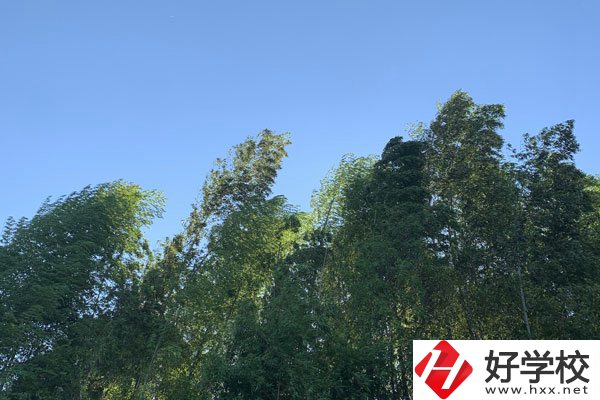 張家界協(xié)力技工學(xué)校好不好？就業(yè)前景怎么樣？