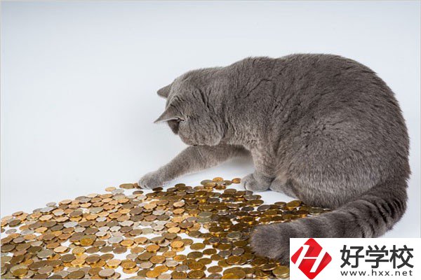 邵陽的職高一年學(xué)費是多少？比較便宜的學(xué)校有哪些？