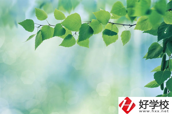 永州工商職業(yè)中等專業(yè)學校哪些是特色專業(yè)？好就業(yè)嗎？