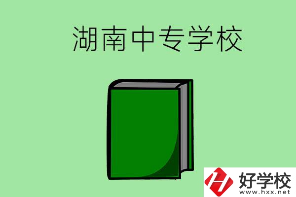 湖南的中專學(xué)校有哪些？都開設(shè)了哪些專業(yè)？