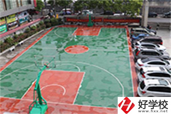 龍山縣技工學?；@球場