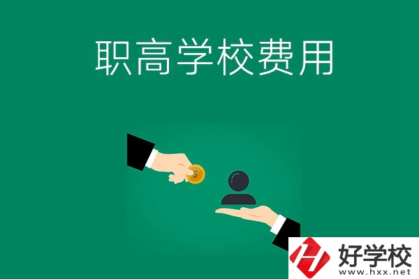 上懷化的公立職高學(xué)校要多少費(fèi)用？