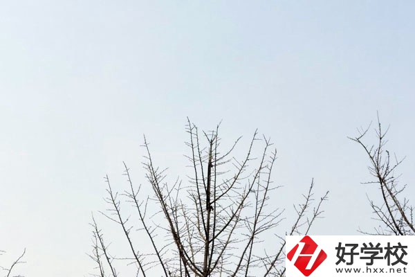 益陽(yáng)第一職業(yè)中專學(xué)校怎么樣？值得報(bào)考嗎?