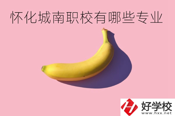 懷化城南職業(yè)學校有哪些專業(yè)？學校好不好？