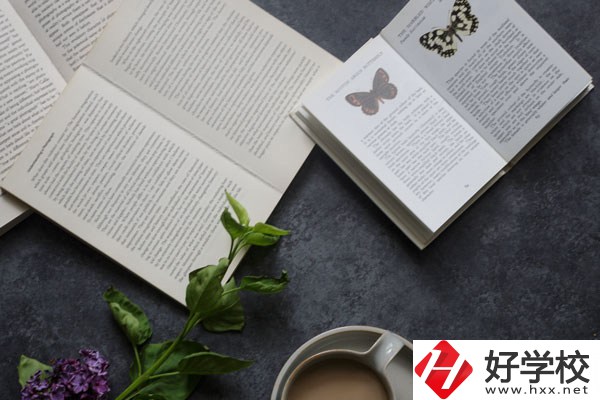 湘南船山技工學校好不好？環(huán)境怎么樣？