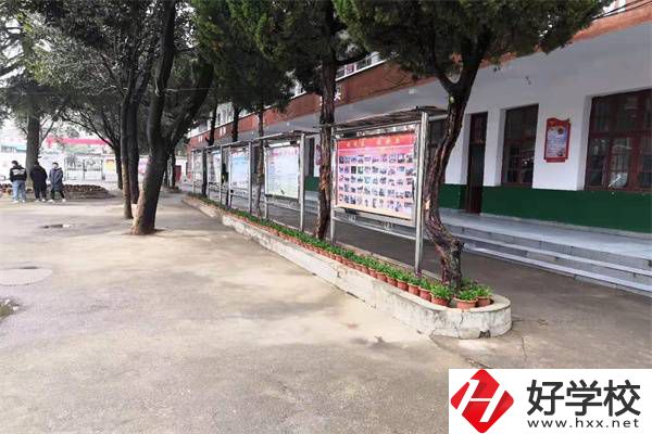 岳陽有沒有升學(xué)率高的民辦職高？職高能升學(xué)是真的嗎？