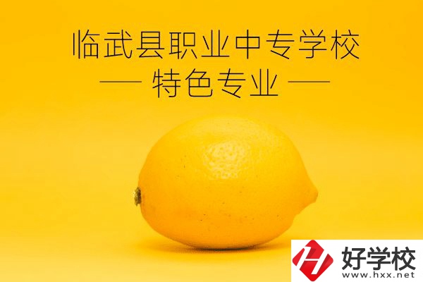 臨武縣職業(yè)中專(zhuān)學(xué)校好嗎？有哪些特色專(zhuān)業(yè)？