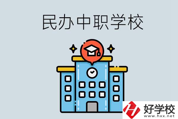 婁底新化縣的民辦中職學(xué)校一共有多少所？