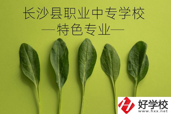 長(zhǎng)沙縣職業(yè)中專學(xué)校怎么樣？有什么特色專業(yè)？