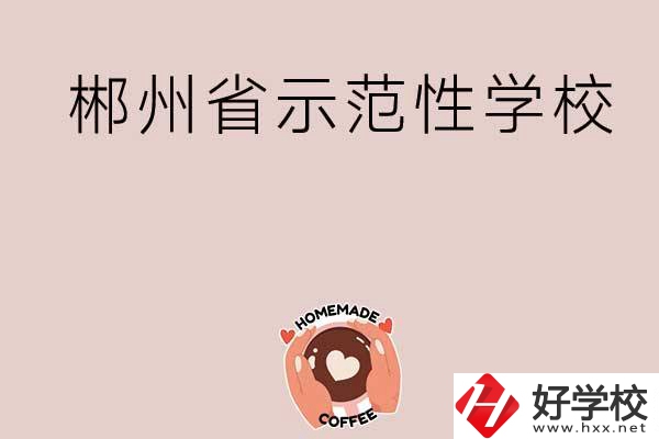 郴州有省示范性的公辦中職學(xué)校嗎？