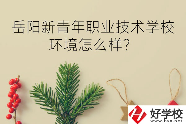 岳陽新青年職業(yè)技術(shù)學(xué)校好不好？環(huán)境怎么樣？