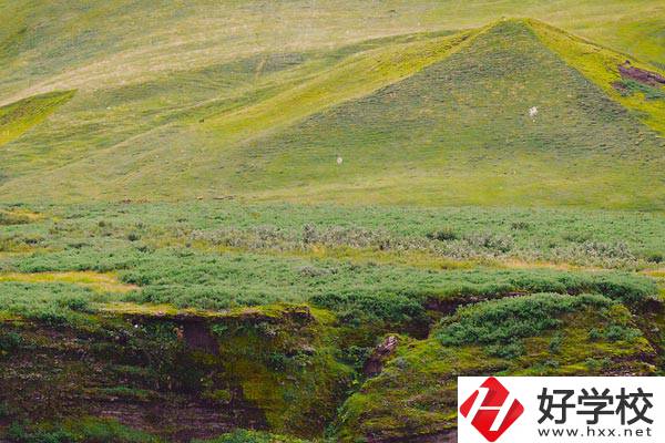 湖南衡南職業(yè)中等專業(yè)學(xué)校好嗎？學(xué)校有什么優(yōu)勢(shì)？