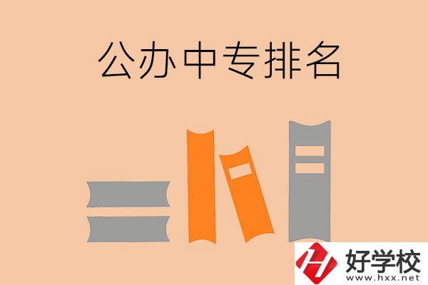 湘潭公辦中專排名前五的是哪些？