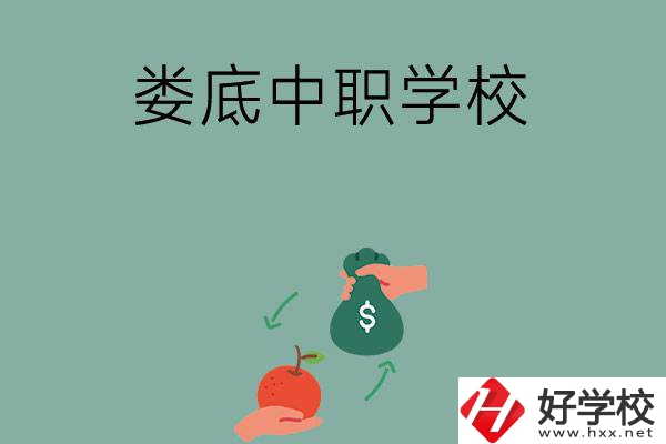 婁底市有哪些中職學(xué)校？排名前五的是哪幾所？