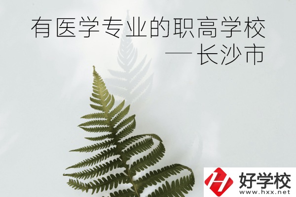 長(zhǎng)沙市哪些職高學(xué)校有醫(yī)學(xué)專(zhuān)業(yè)？