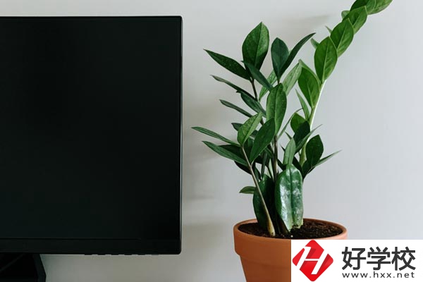 岳陽(yáng)市網(wǎng)絡(luò)工程職業(yè)技術(shù)學(xué)校有哪些熱門(mén)專(zhuān)業(yè)？
