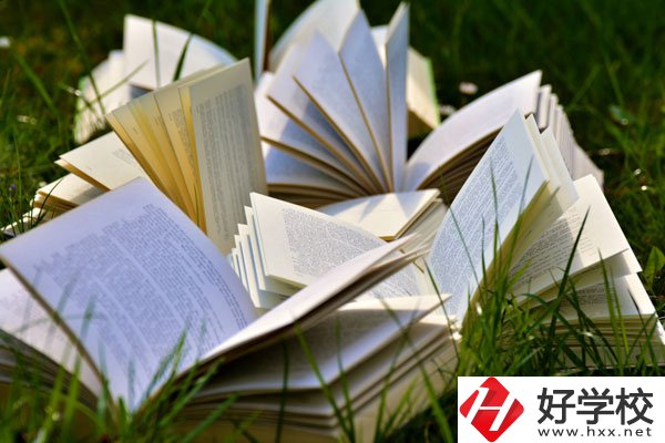 中方縣職業(yè)中等專(zhuān)業(yè)學(xué)校有什么專(zhuān)業(yè)？好不好？
