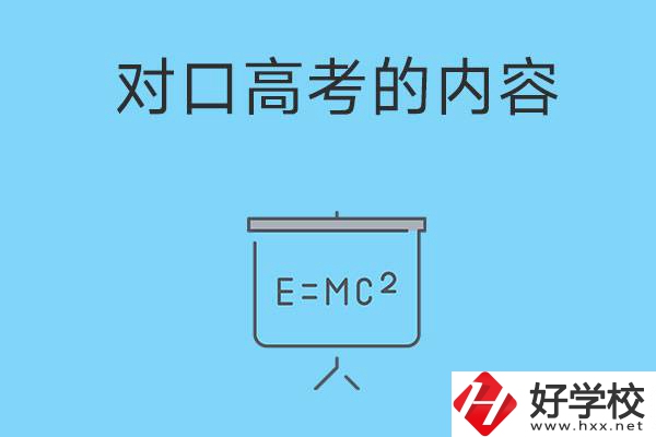 湖南職高對(duì)口高考主要考什么內(nèi)容？難度大不大？