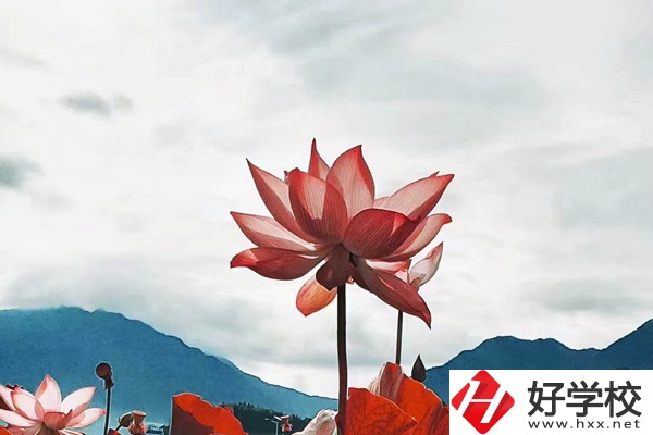 隆回華星職業(yè)技術(shù)學(xué)校有哪些專業(yè)？值得學(xué)生報(bào)考么？
