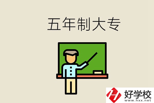 岳陽有哪些五年制大專？畢業(yè)了怎么發(fā)展？