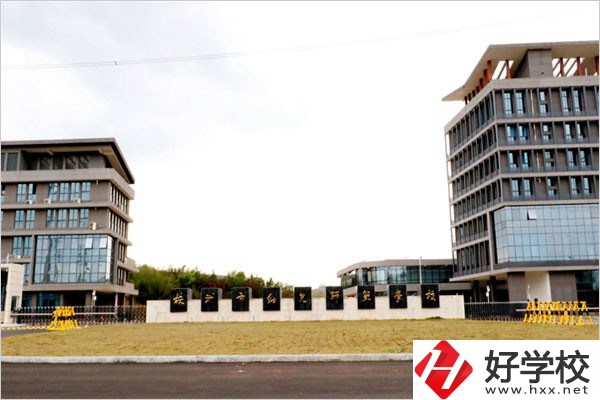 在株洲云龍職校城智慧路上有什么職校？