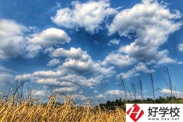 衡陽(yáng)市瀟湘衛(wèi)生中等專(zhuān)業(yè)學(xué)校有哪些特色專(zhuān)業(yè)？