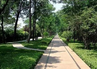 大同幼兒師范學(xué)校2025年有哪些專業(yè)